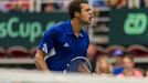 DC, Česko-Francie: Jo-Wilfried Tsonga