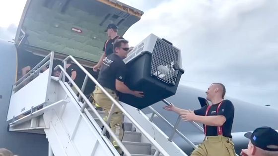 Češi v akci: Hasičský USAR tým vyráží na pomoc do povodněmi zasaženého Texasu