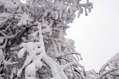 Arktický mráz potrvá do neděle, rtuť spadne pod -30°C