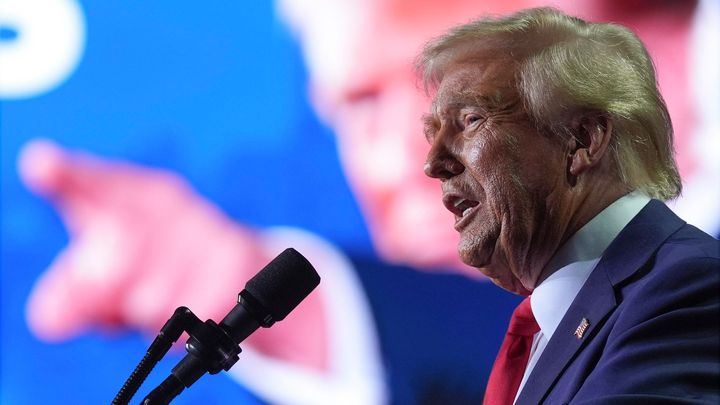Politoložka z Cambridge: Trump a Putin jsou ze stejného těsta. Můžou vytvořit alianci