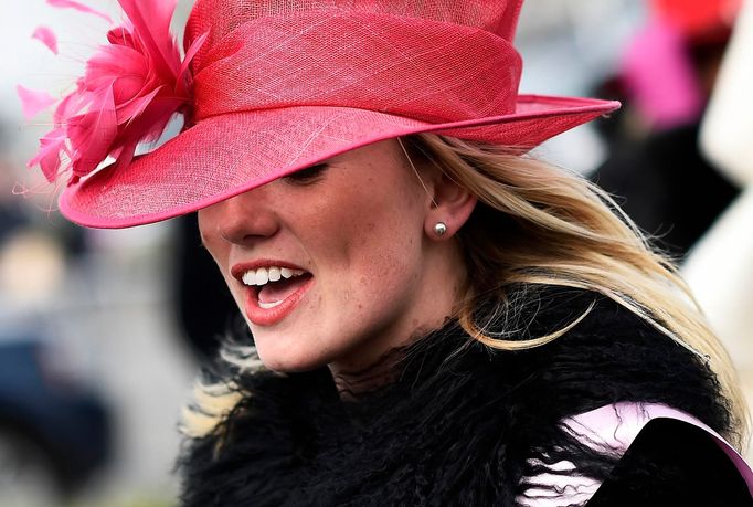 Ladies' Day of Cheltenham Festival