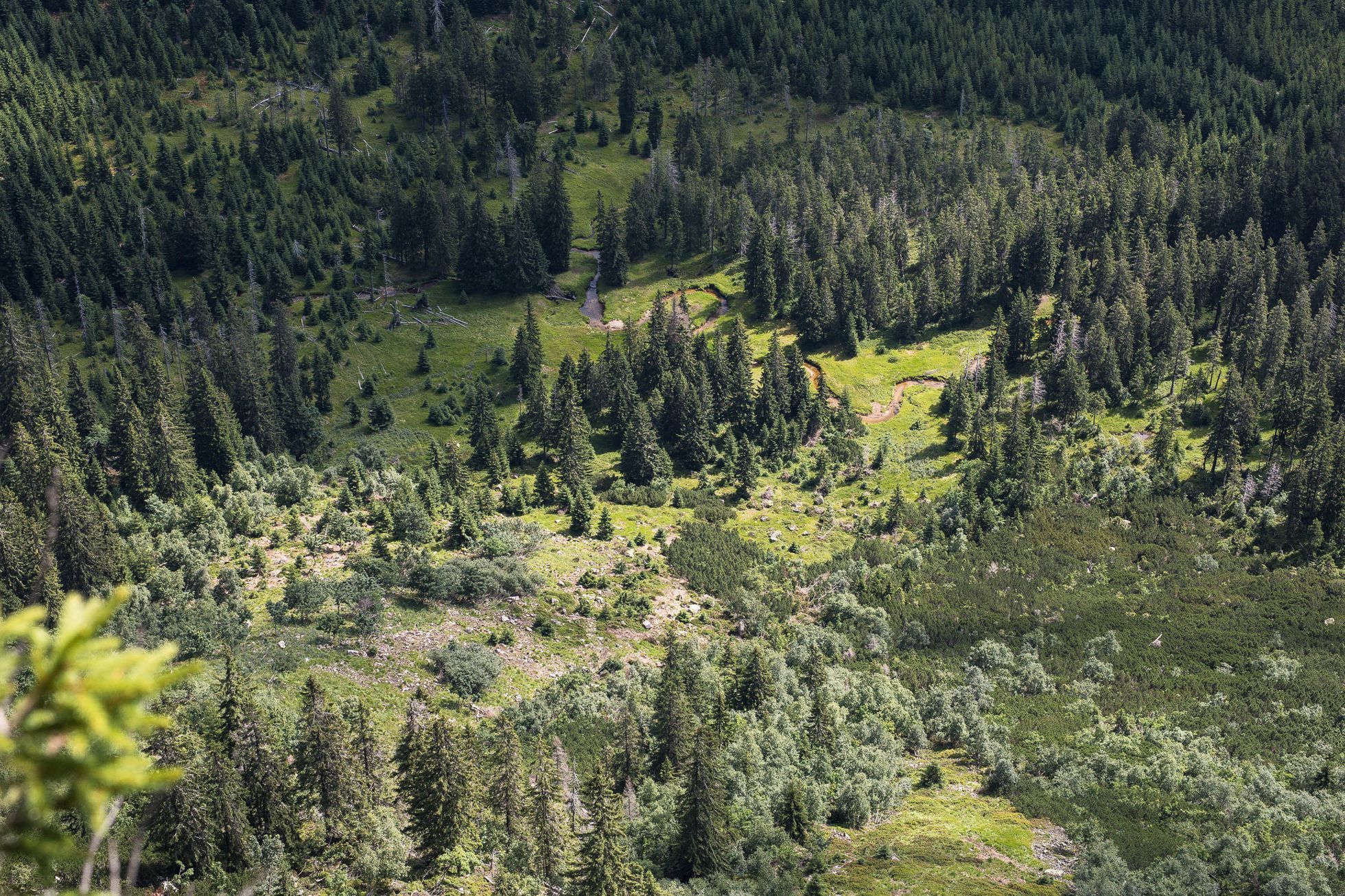 KRNAP overturismus, turisté, Národní park Krkonoše, turistika, správce, ranger, výlet, dovolená