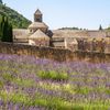 Levandulová pole v Provence, Jižní Francie