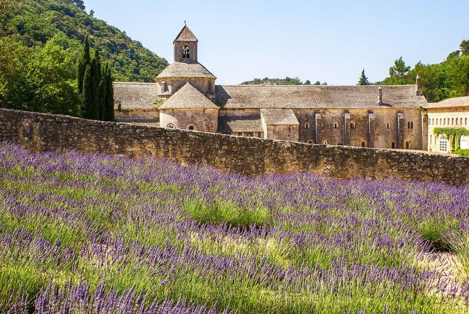 Levandulová pole v Provence, Jižní Francie