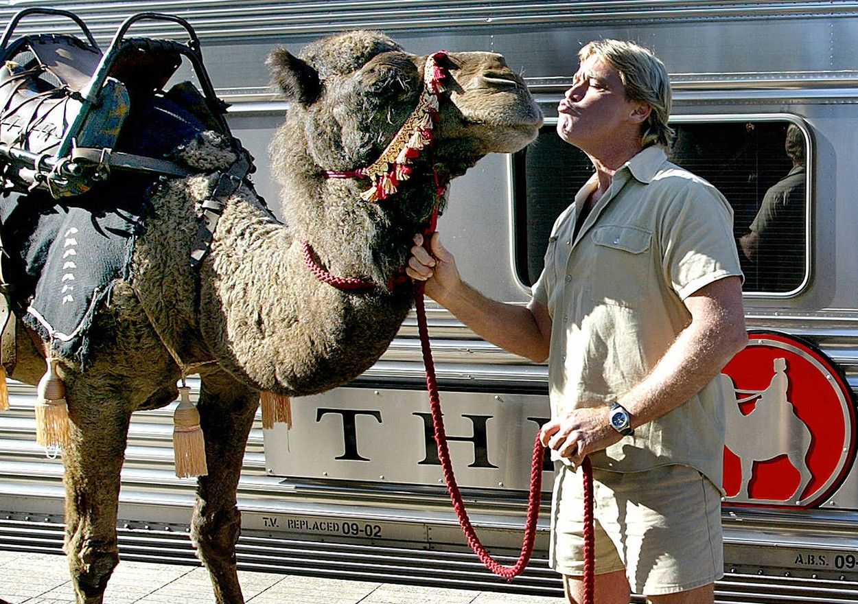 Fotogalerie / Steve Irwin / Tak vypadal ten pravý "Krokodýl Dundee". Vzpomínka na dobrodruha Steva Irwina