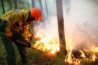 Podle agentury bojuje s požáry přes 600 hasičů, v minulém týdnu přitom zasahovaly v postižených oblastech téměř tři tisíce hasičů.