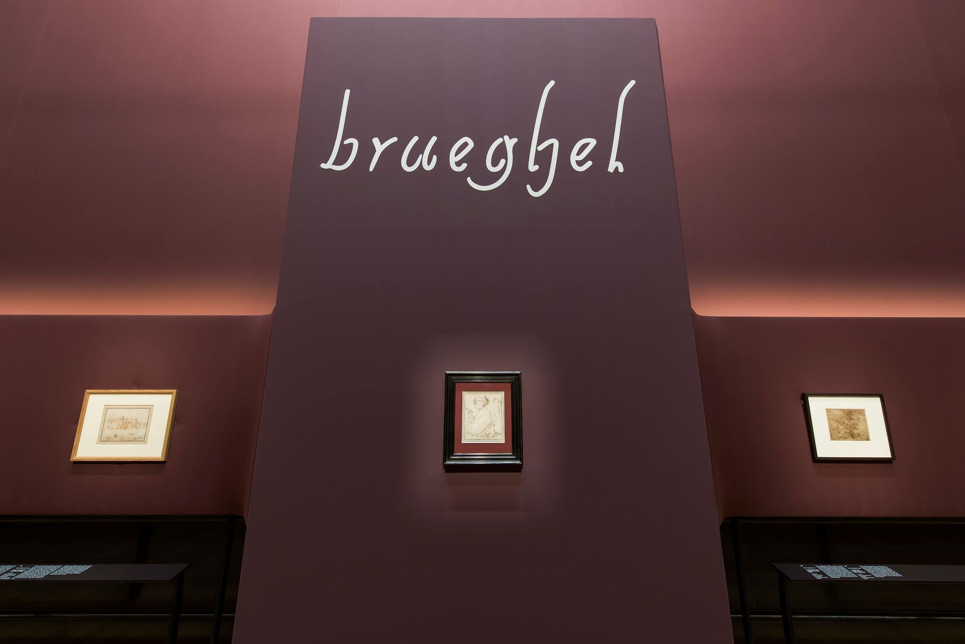 Pohled do výstavy Bruegel