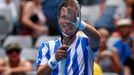 Tomas Berdych of Czech Republic celebrates defeating Damir Dzumhur of Bosnia and Herzegovina in their men's singles match at the Australian Open 2014 tennis tournament in