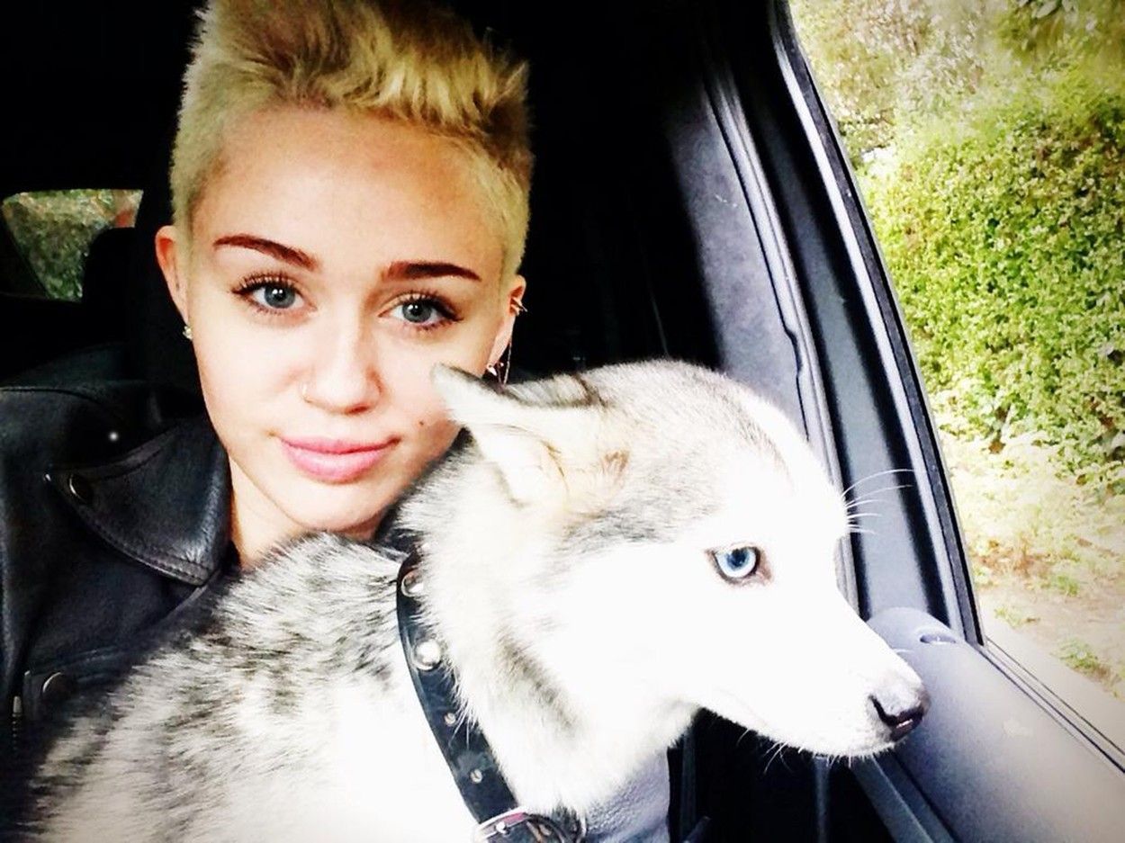 miley floyd