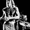 Iggy Pop