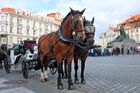 Koně do Prahy patřili odjakživa, ohrazují se fiakristé. Pospíšil je navrhuje zakázat