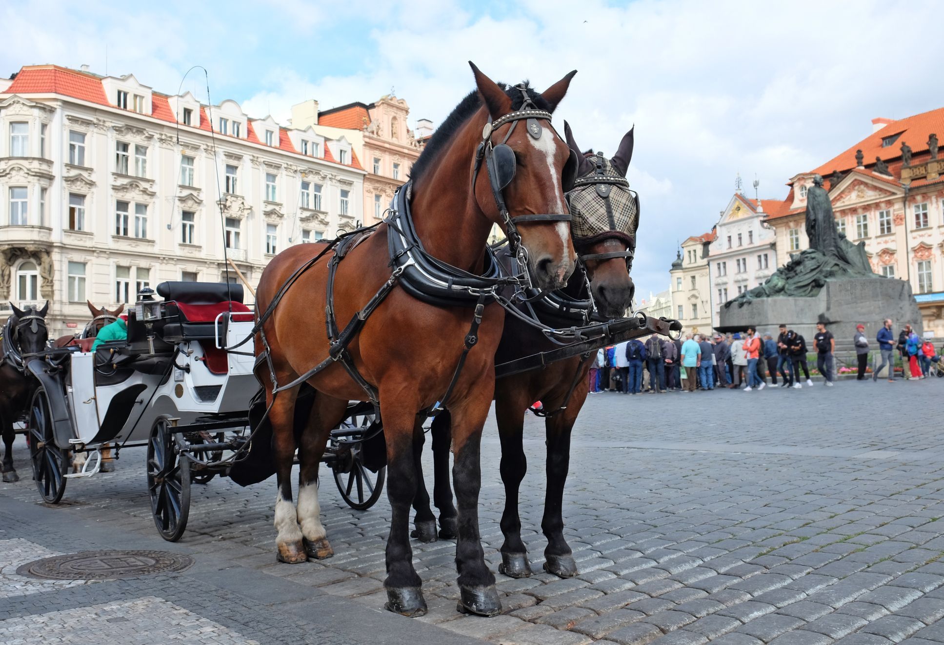 koně praha staroměstské náměstí fiakristé