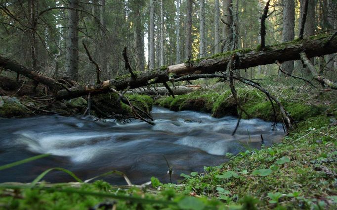 Šumava