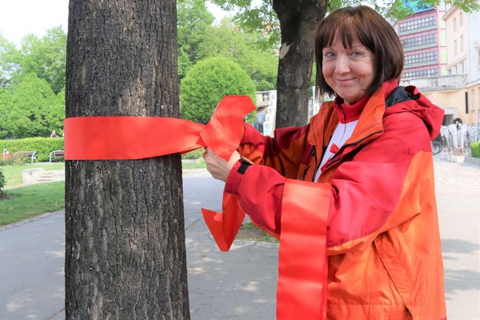 Koordinátorka zdravotních aktivit Charity České republiky Ludmila Kučerová