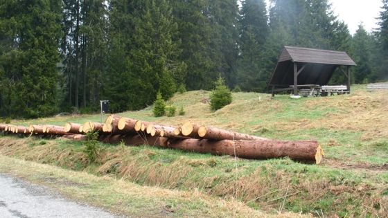 Šumava začala s kůrovcem bojovat jedy