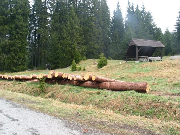 Otrávené lapáky u turistického odpočívadla na Javoří pile