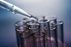 Čeští vědci úspěšně otestovali látku, která léčí encefalitidu i horečku dengue