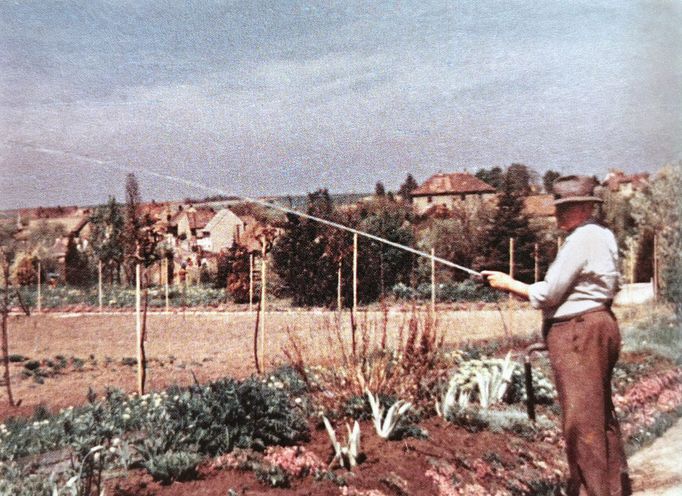 Unikátní a jediná dochovaná barevná fotografie Jana Mikoláška. Zaléva na ní svou zahradu v Jenštejne. Cca 50. léta.