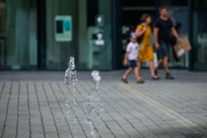 Adaptační proti změně klimatu v Praze.