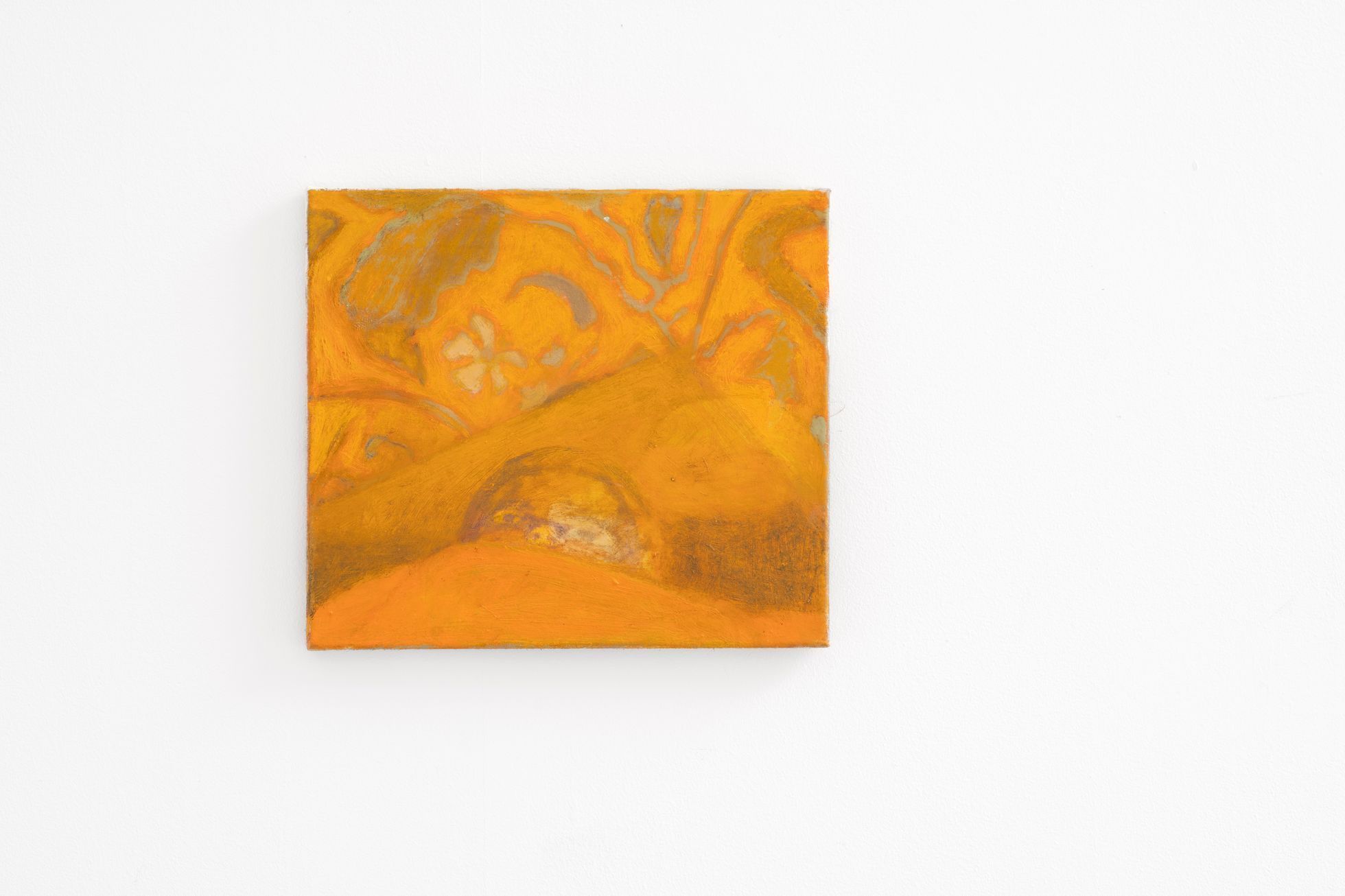 Ester Knapová, Trafo Gallery, 2024