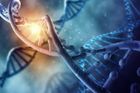 Vědci přišli s novou metodou úpravy DNA. Mohla by pomoci i s chudokrevností