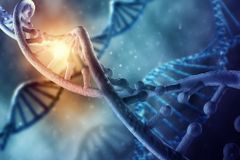 Vědci přišli s novou metodou úpravy DNA. Mohla by pomoci i s chudokrevností