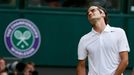 Roger Federer na Wimbledonu 2014