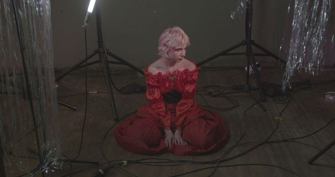 Ezra Šimek: Do They/Thems Like Flowers or Do I Buy Platform Shoes and Tarot Cards?, 4K video, 13min 05 seconds, 2021.