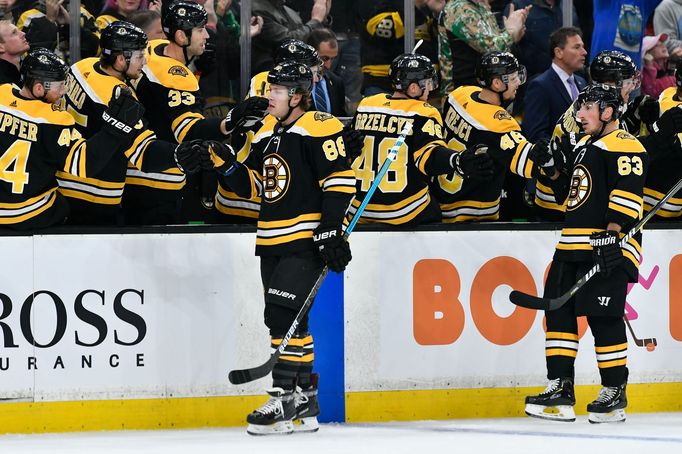 hokej, NHL 2018/2019, Boston - Dallas, David Pastrňák slaví gól