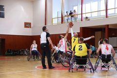Češi opouštějí rakouskou ligu. Chtějí doma rozšířit povědomí o basketbalu na vozíku