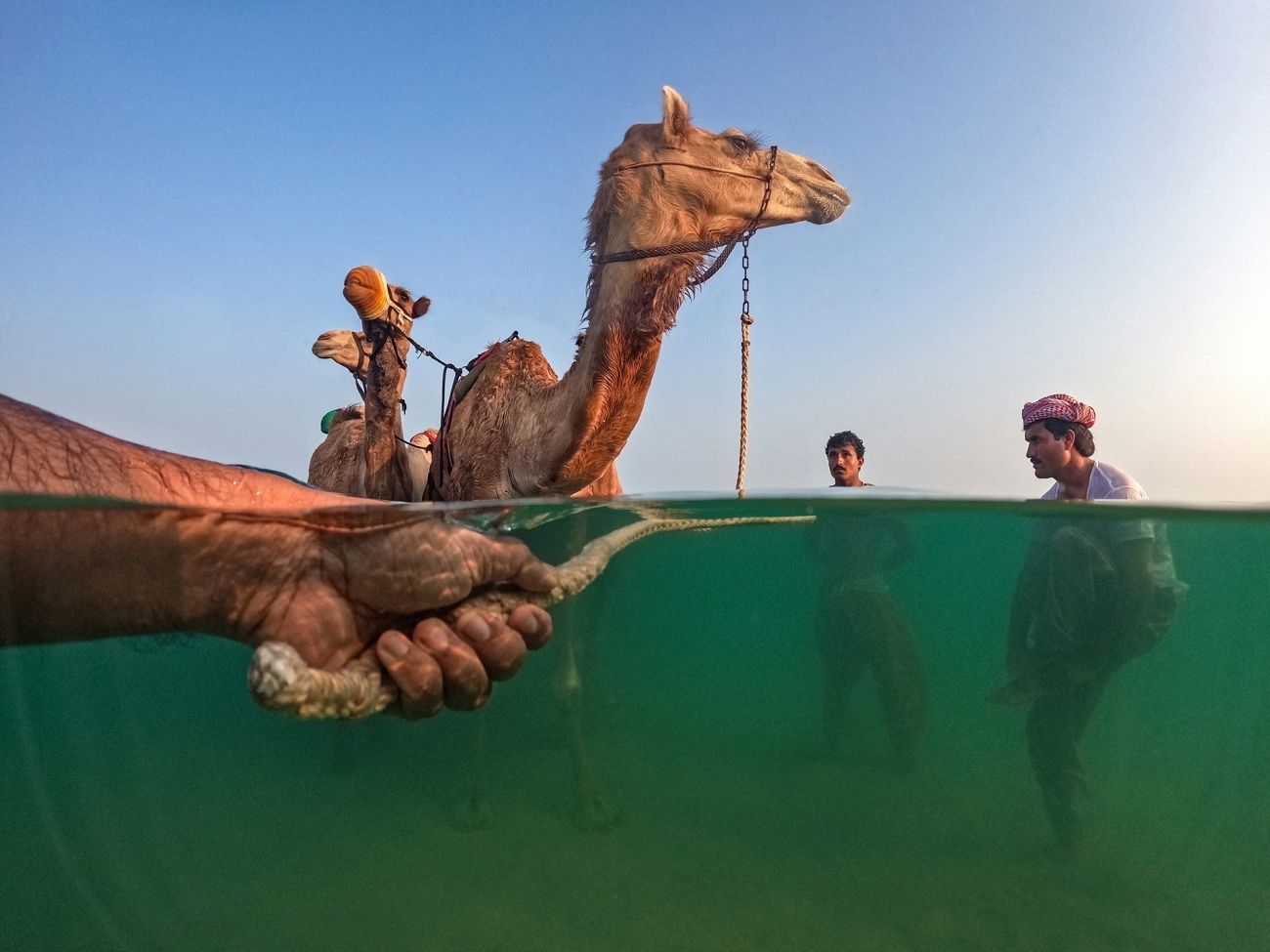 Vítězové fotografické soutěže Siena International Photo Awards 2023