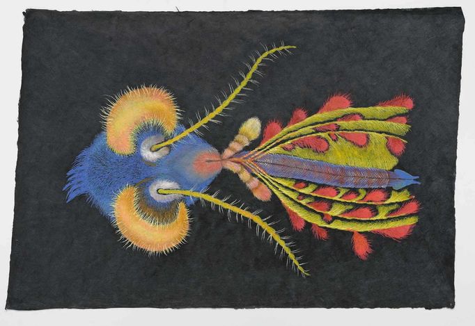 Erika Bornová, z cyklu Hmyz.