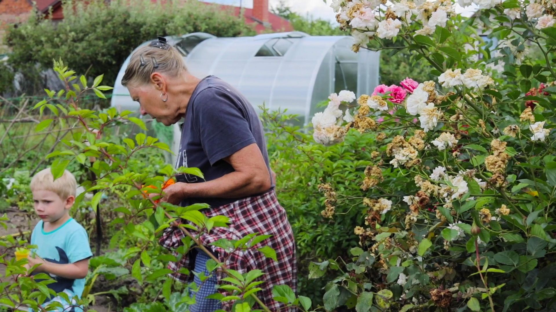 Seno, sláma, skládka, Galerie Václava Špály, 2023