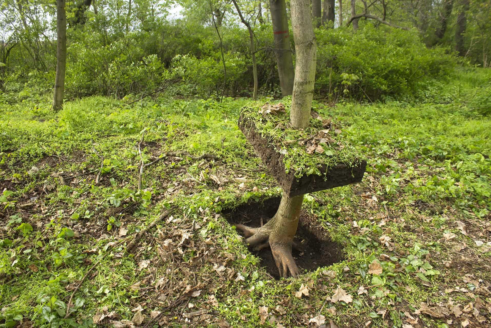 Jednorázové použití / Fotogalerie / Působivé zásahy do krajiny od umělce Patrika Proška