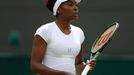 Venus Williamsová na Wimbledonu 2016