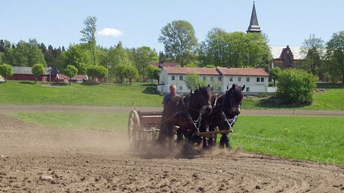 Vězni na ostrově obhospodařují pole pouze ekologicky. Bez pomoci mechanizace, pesticidů i jiných chemikálií.