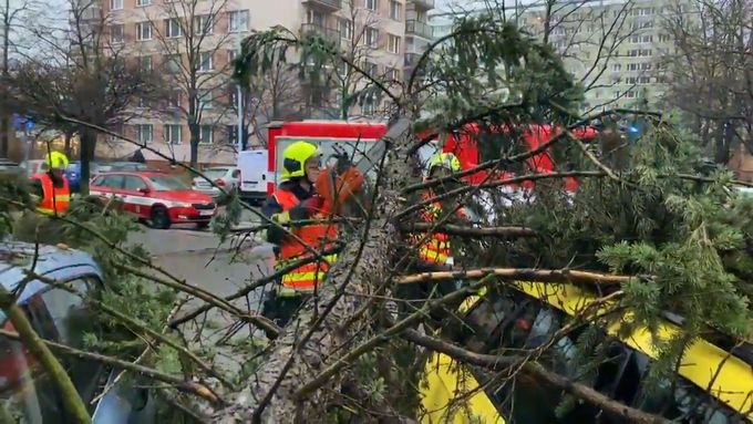 Bouře Sabine v Praze kácela stromy. Některé spadly i na parkující auta.