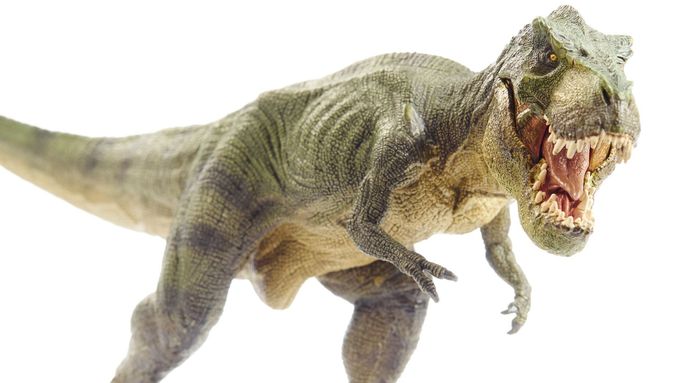 Takto nějak vypadal Tyrannosaurus rex, obávaný masožravý dinosaurus.