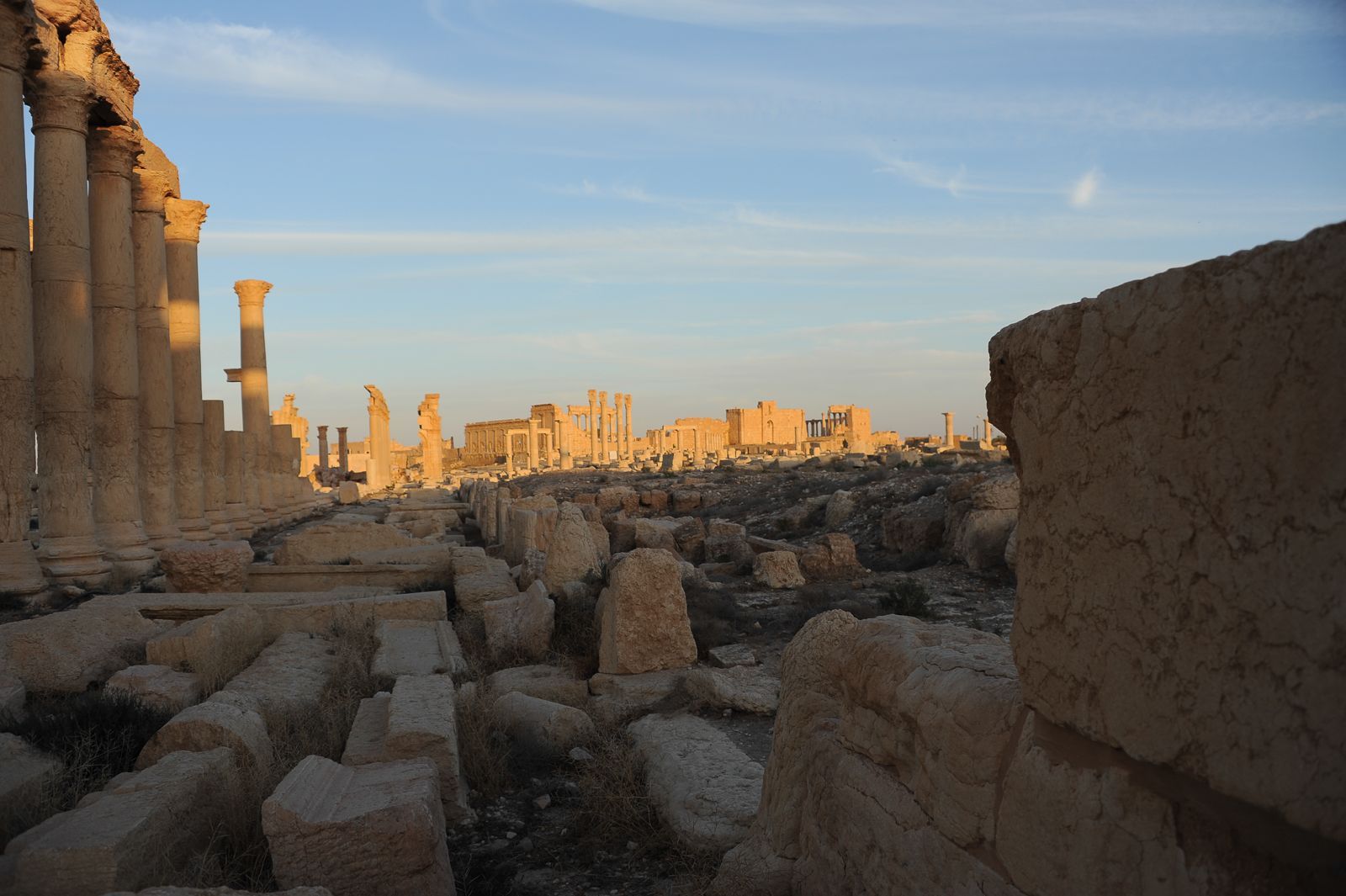 Palmýra, Sýrie