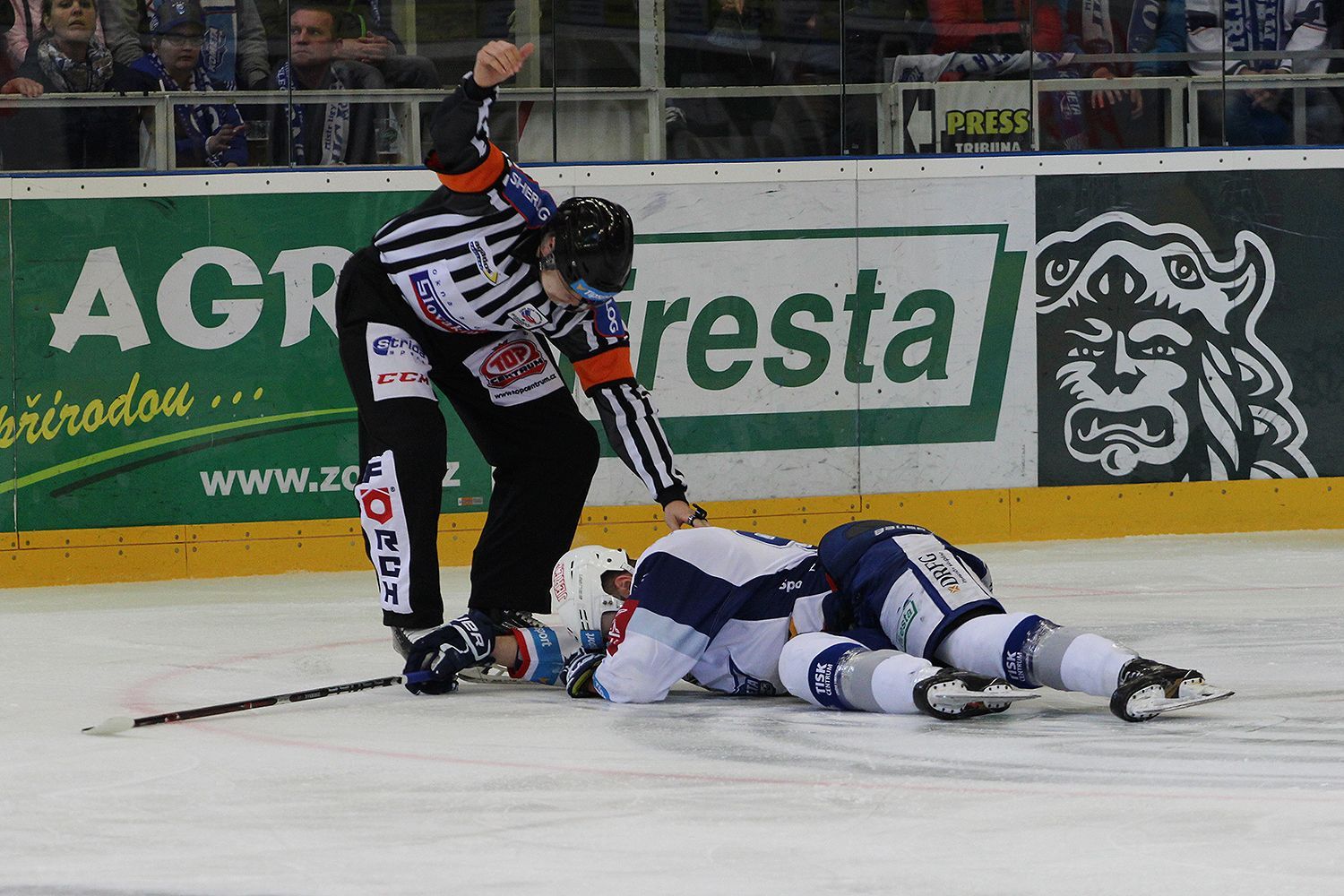 TELH 17/18: Kometa vs. Plzeň