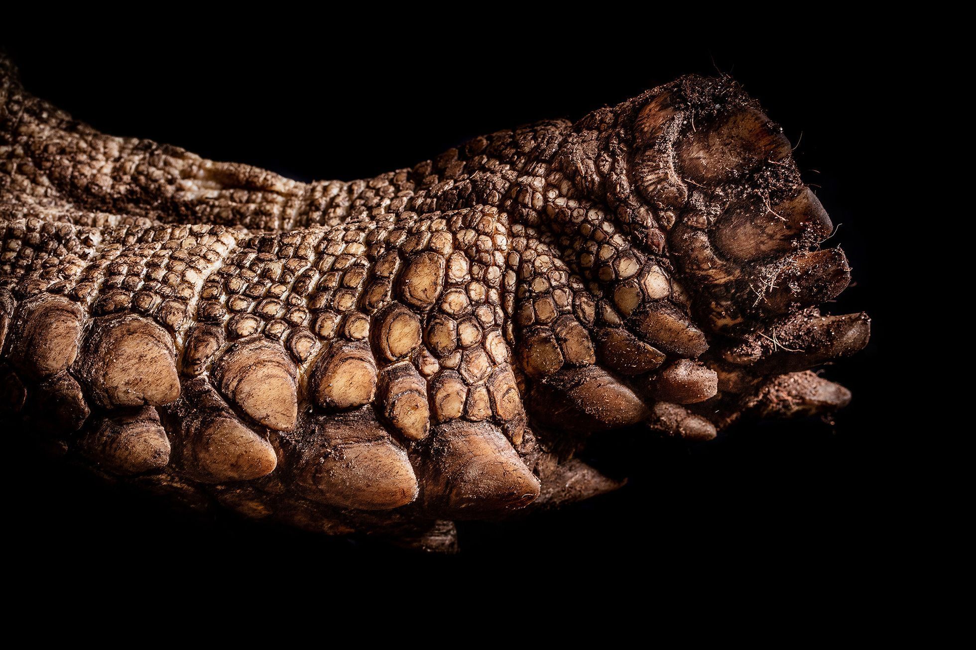 Nominace na ceny Czech Nature Photo 2022