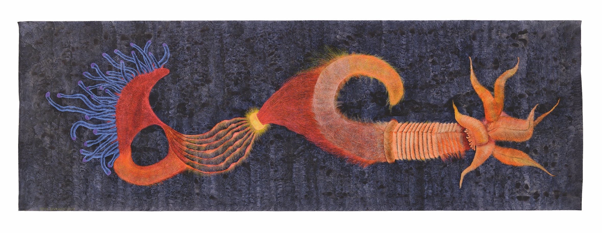 Erika Bornová: Vodní bytosti