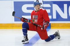 Vsadí Jandač na "superútok"? České trio z NHL může strašit i největší favority MS
