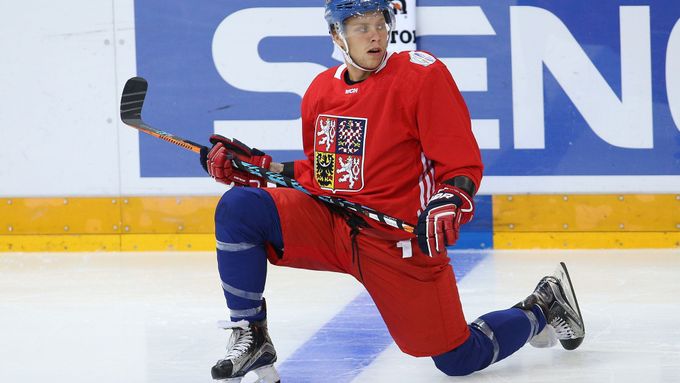 David Pastrňák byl letos nejproduktivnějším Čechem v NHL.
