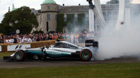 Goodwood se koná především pro fanoušky, k jejich potěšení se "rozjančí" i piloti formule 1.