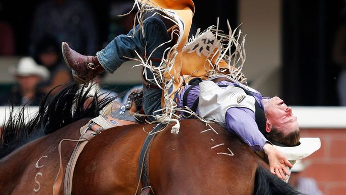 Kovbojové na divokých koních: Jak vypadá pravé rodeo?