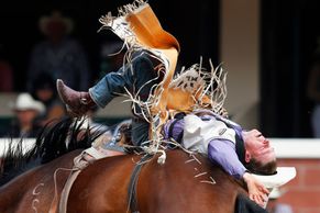 Kovbojové na divokých koních: Jak vypadá pravé rodeo?