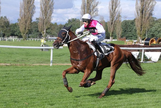 Sobotní dostihy před Velkou pardubickou 2017