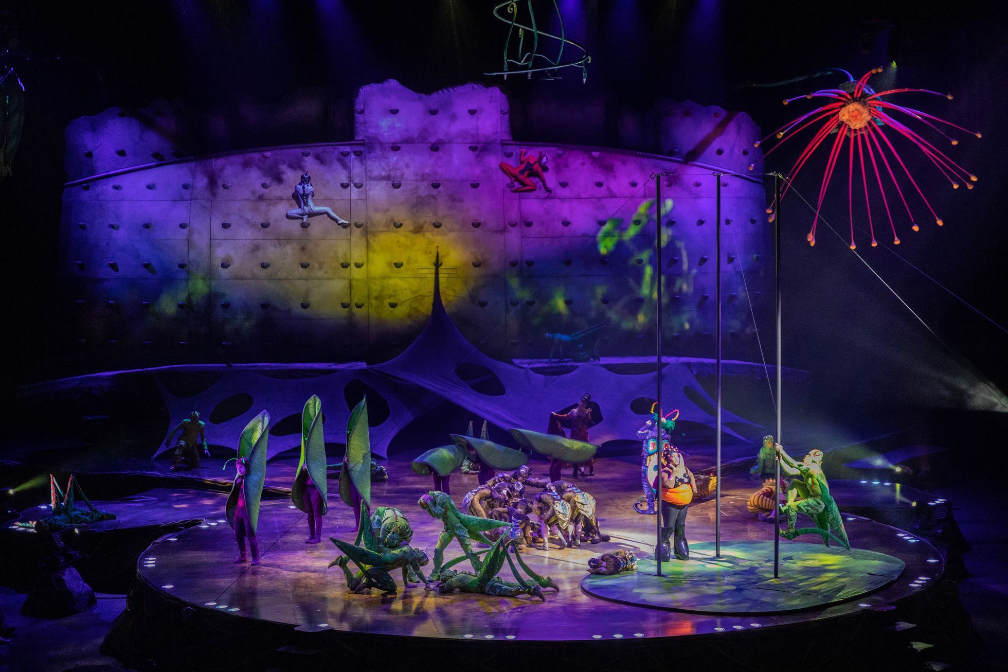 Cirque du Soleil: Ovo, 2023, O2 arena