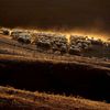 Nejlepší snímky Reuters na pomoc dětem - série Zvířata, příroda, panorama